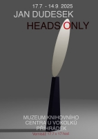 https://dudesek.ch/files/gimgs/th-101_Plakat_v2.jpg